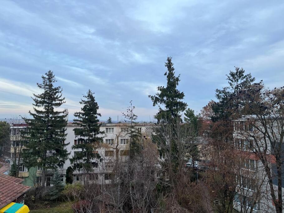 Apartament Theta- Langa Centru, Cada Hidromasaj Suceava Extérieur photo